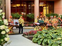 IMG_2258.jpg
