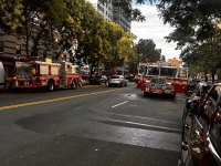 IMG_9691.jpeg