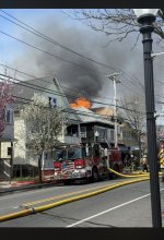 IMG_1429.jpeg
