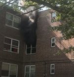 IMG_4438.jpeg