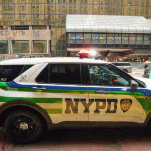 nypd 1.gif