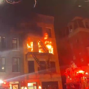 Media 'IMG_9521.jpeg' in category 'Incident Photos'