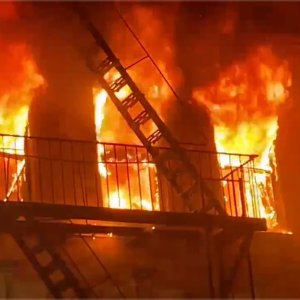 Media 'IMG_9522.jpeg' in category 'Incident Photos'