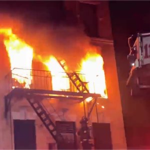 Media 'IMG_9523.jpeg' in category 'Incident Photos'