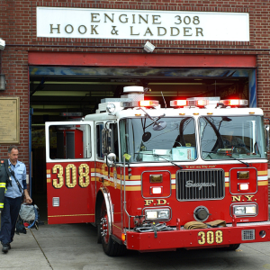 Media '1764539619276.png' in category 'History'