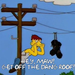 get off the roof.jpeg