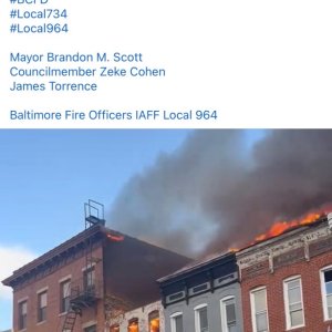 Media 'IMG_8532.jpeg' in category 'Incident Photos'