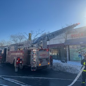 Media 'IMG_0611.jpeg' in category 'Incident Photos'