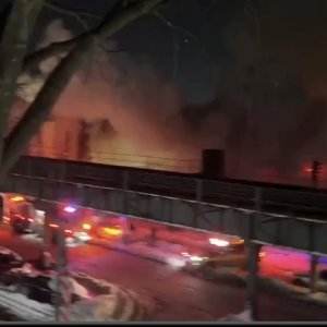 Media 'IMG_9234.jpeg' in category 'Incident Photos'