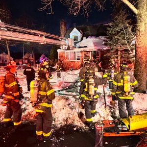 Media 'IMG_1009.jpeg' in category 'Incident Photos'