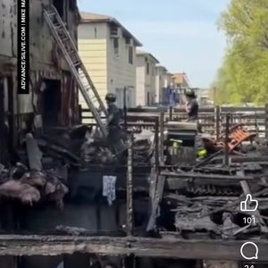 Media 'IMG_7769.jpeg' in category 'Incident Photos'