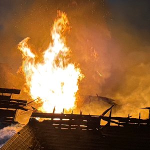 Media 'IMG_6907.jpeg' in category 'Incident Photos'