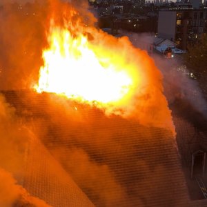 Media 'IMG_9116.jpeg' in category 'Incident Photos'