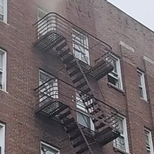 IMG_3442.jpeg