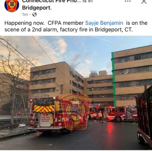 IMG_2032.jpeg