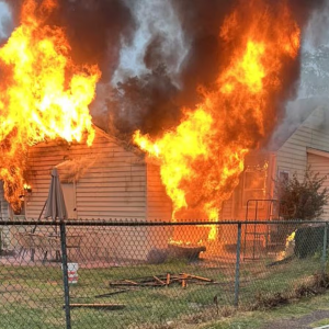 Media '1757204929110.png' in category 'Incident Photos'