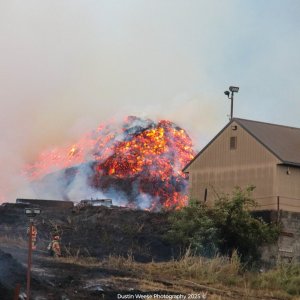 Media '1.jpg' in category 'Incident Photos'