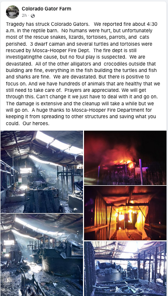 Screen Shot 2023-04-18 at 2.25.03 PM.png