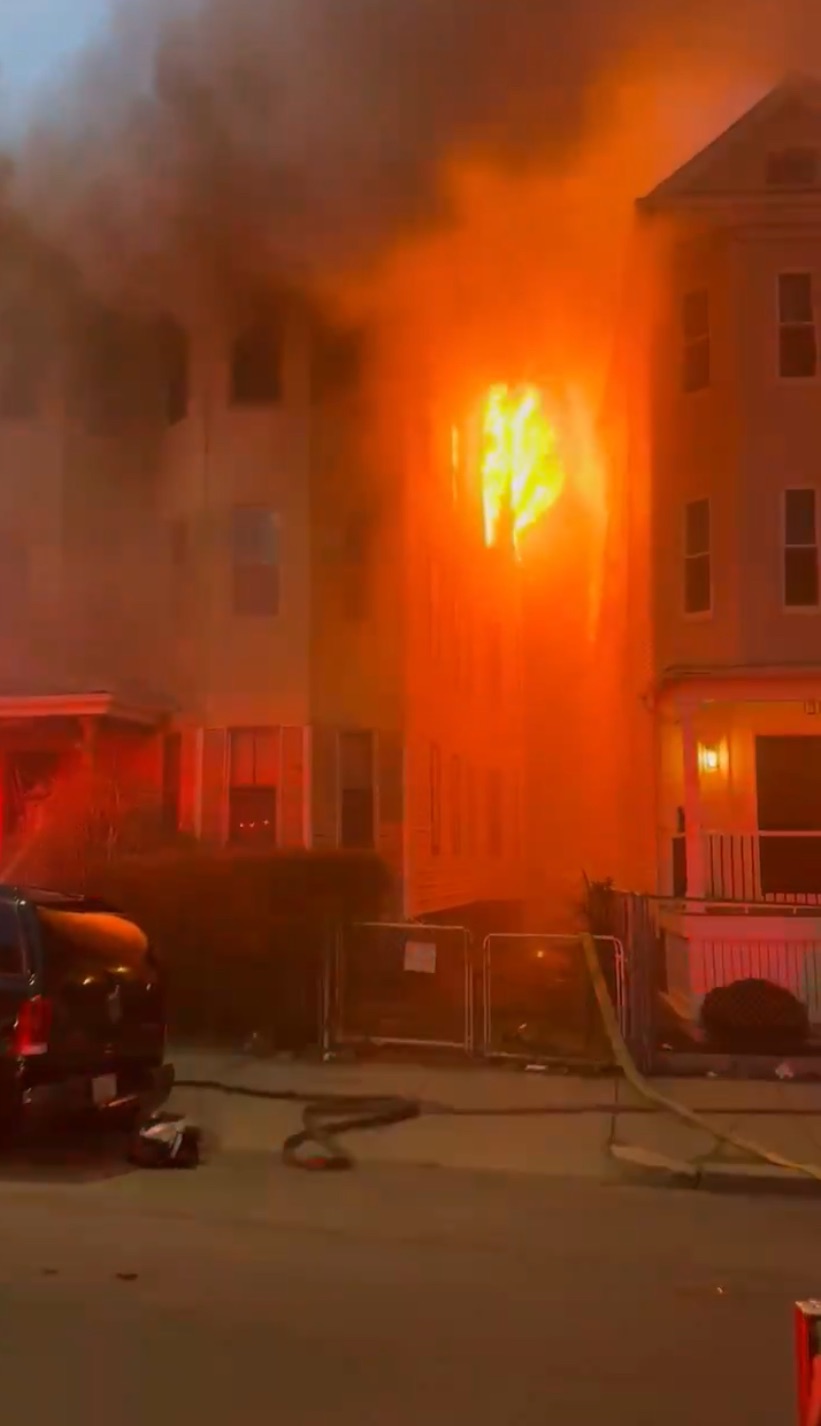 Screenshot 2024-03-02 at 06.13.19.jpeg